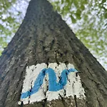 Am Wald *