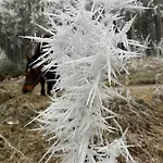 Am Wald Ober-Abtsteinach