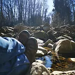 Am Wald * Ober-Abtsteinach