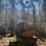 Daire Am Wald Ober-Abtsteinach