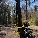 Am Wald Daire *