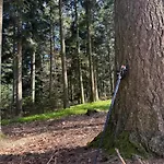 Am Wald Daire *