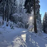 Am Wald *