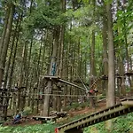 Daire Am Wald