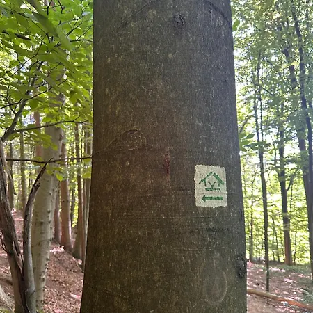 Am Wald Appartement Ober-Abtsteinach