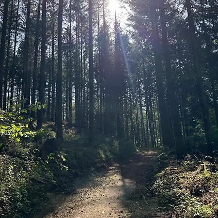 Am Wald