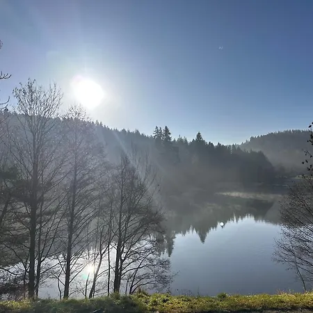 Am Wald Apartment Ober-Abtsteinach