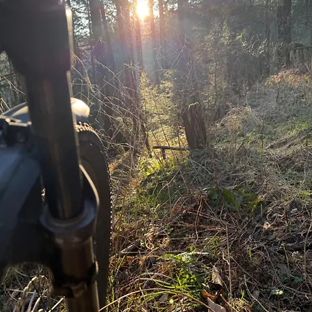 Am Wald