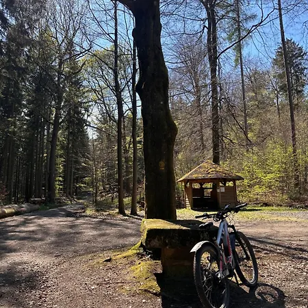 Am Wald Appartement *