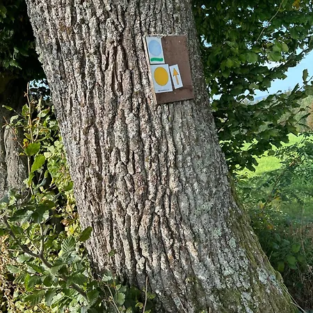 Am Wald Appartement Ober-Abtsteinach