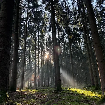 Am Wald Ober-Abtsteinach