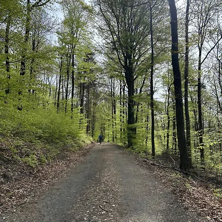 Am Wald Appartement Ober-Abtsteinach