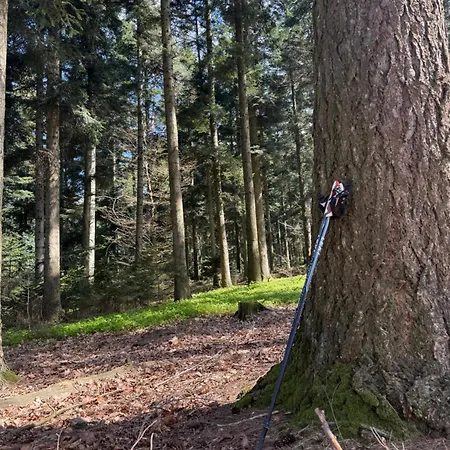 Am Wald Appartement *