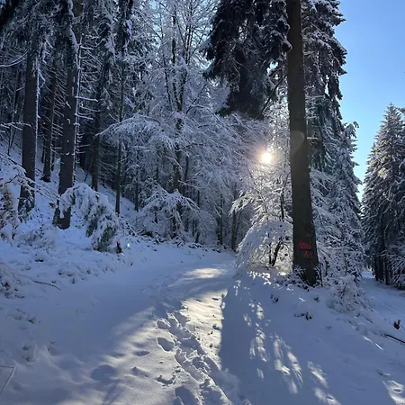 Am Wald *