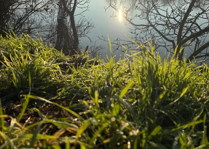 Am Wald Apartment Ober-Abtsteinach