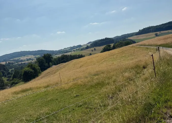 Apartment Am Wald Ober-Abtsteinach