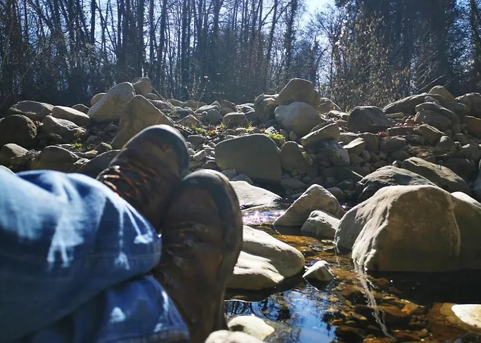Am Wald * Ober-Abtsteinach