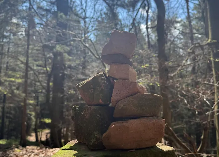 Apartment Am Wald Ober-Abtsteinach