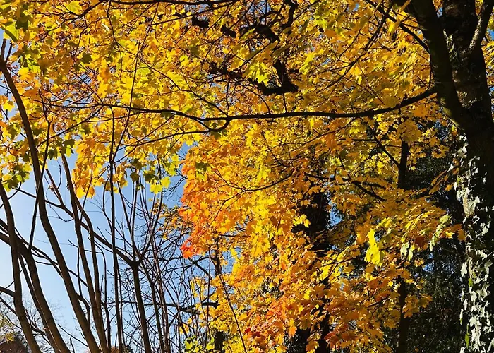 Am Wald Ober-Abtsteinach