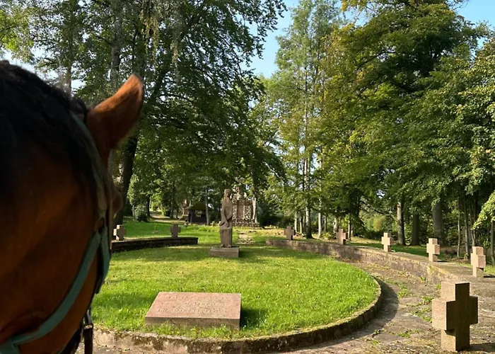 Am Wald Ober-Abtsteinach