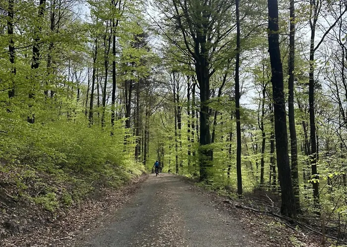 Am Wald Apartment Ober-Abtsteinach